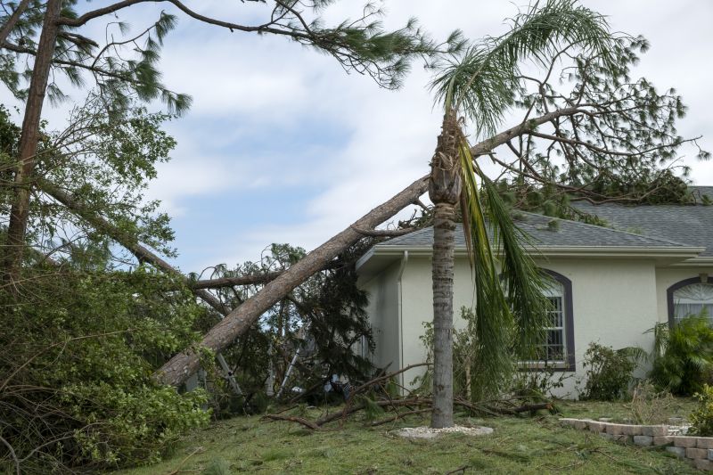 Roof Damage Restoration detail