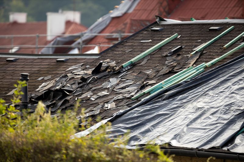 Roof Damage Restoration detail